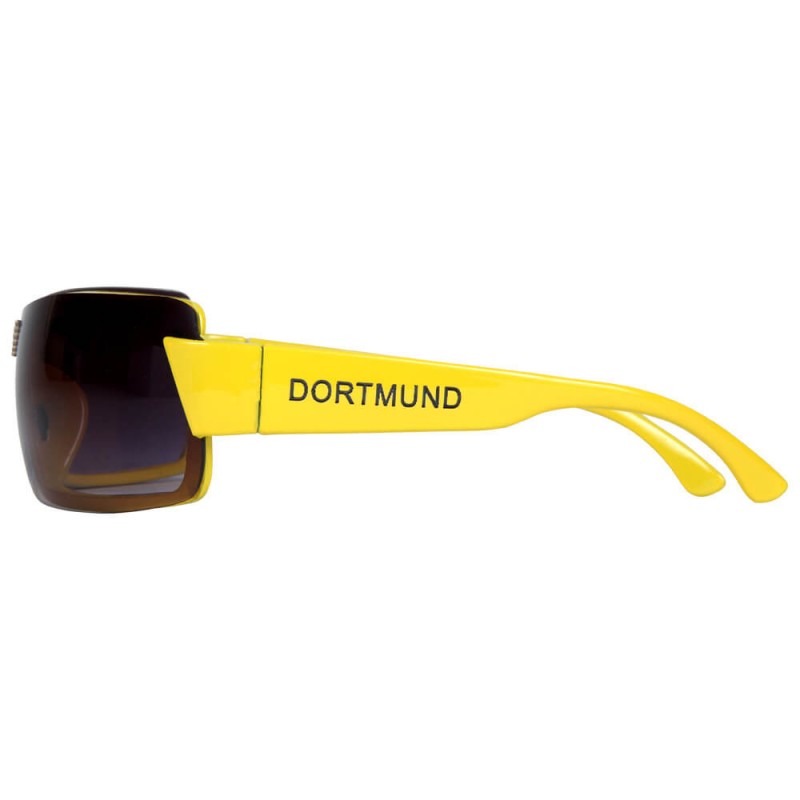 Viper Dortmund Sport Sunglasses VS-138